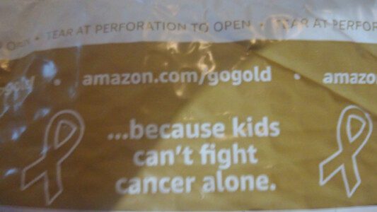 Just showing that other organizations for children are also supported by Amazon.com